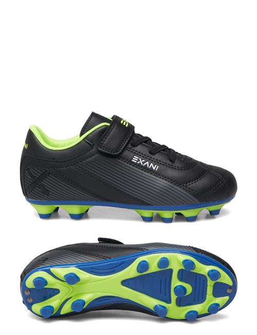 Exani | Matrix Jr | 32