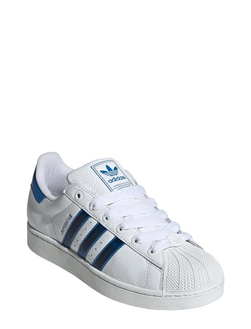 adidas Originals | Superstar Ii | 48