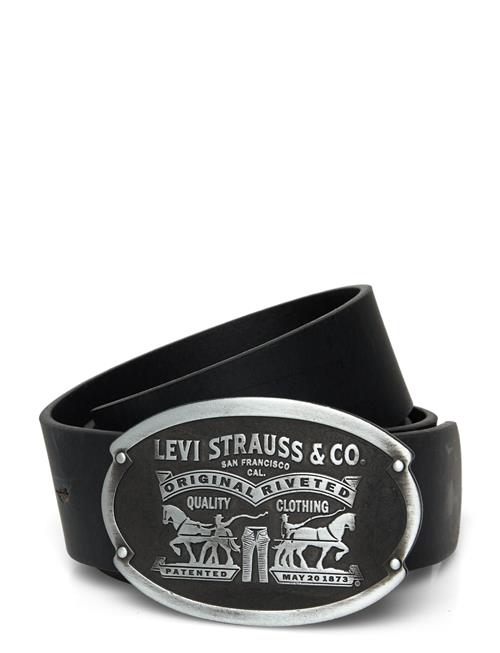 Levi's® | Billy Plaque Belt Regular Blac | 105