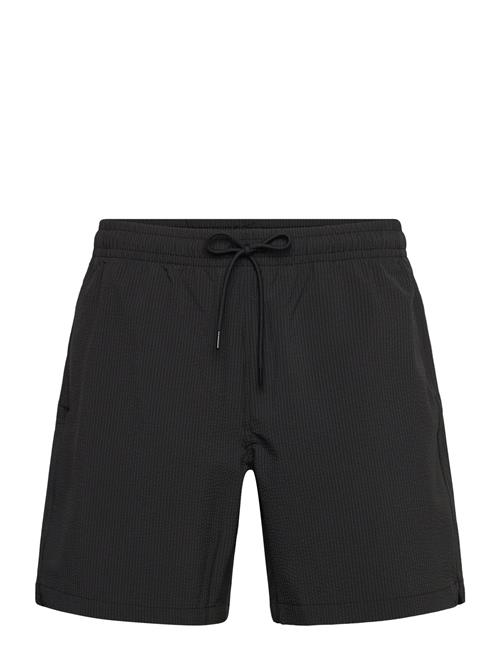 Abercrombie & Fitch | Anf Mens Swim | XL