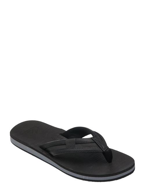 Quiksilver | Carver Squish 26 | 44