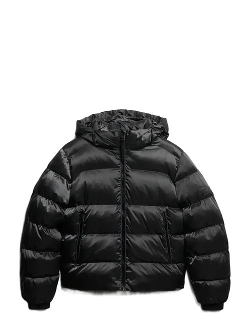 Superdry | Hooded Luxe Sports Puffer | M
