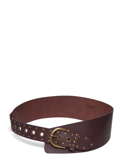 Levi's® | Buckle Up Wide Belt Chocolate | L