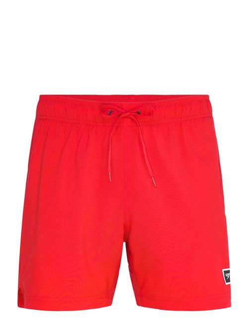 Speedo | Classic Logo Volley 16" | S