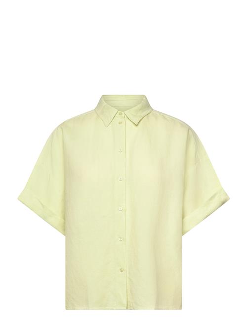 BOSS | C_Bisenas | 38