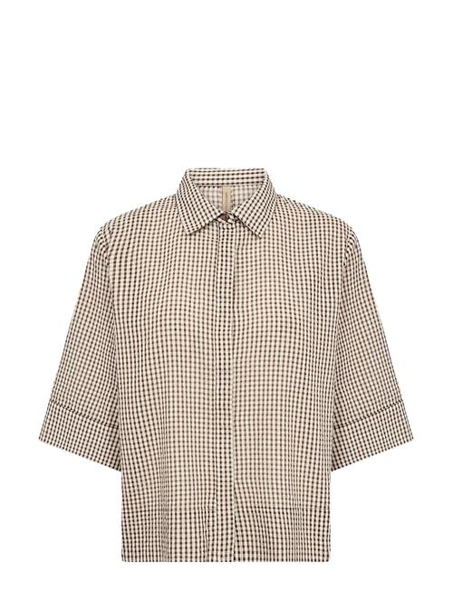 Soyaconcept | Sc-Canelita | S