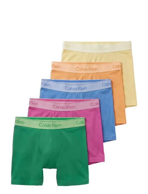 Calvin Klein | Boxer Brief 5Pk | XL