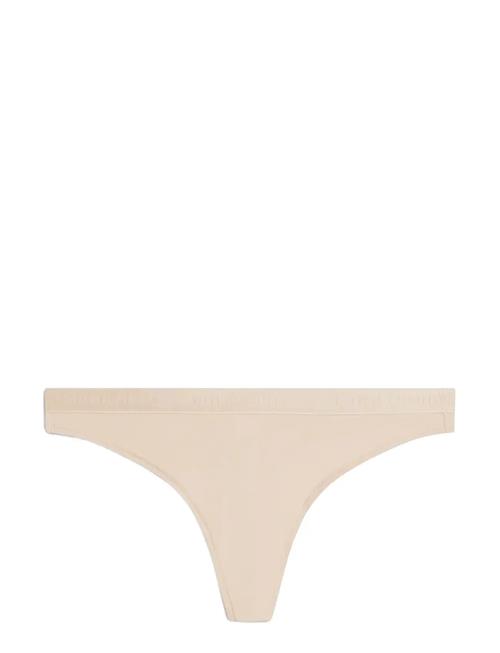Tommy Hilfiger | Thong  (Ext. Sizes) | S