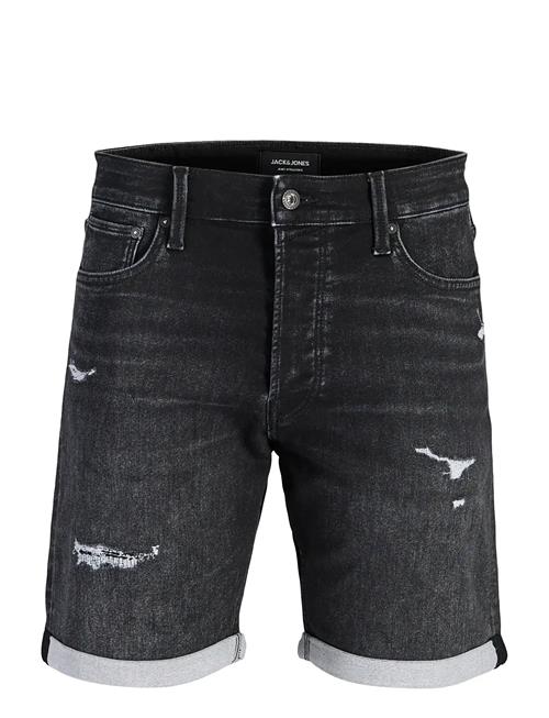 Jack & Jones | Jjirick Jjicon I.k. Shorts Ge 066 | XXL