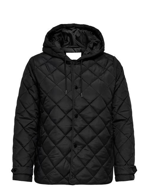 ONLY Carmakoma | Carjuliet Quilted Hood Jacket Noos | 54