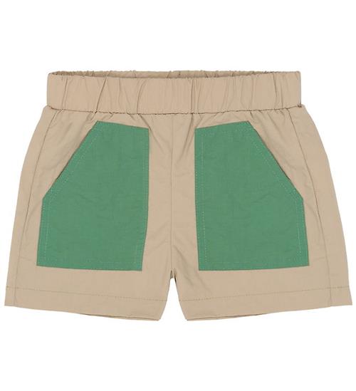 The New Shorts - TnstTex - Humus
