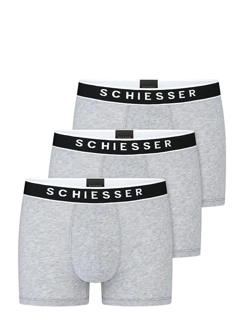Schiesser | Shorts | L