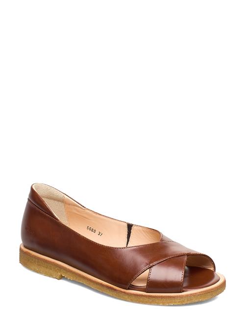 ANGULUS | Sandals - Flat  - Open Toe - Clo | 37.5