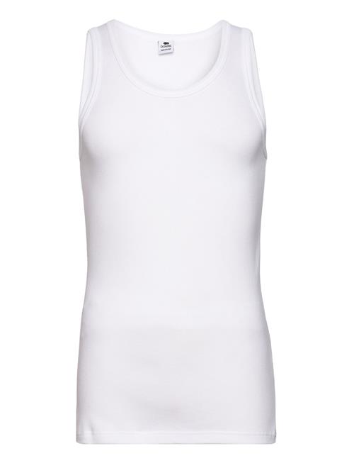 Dovre | Dovre Sportstrøje Organic. | XXXL