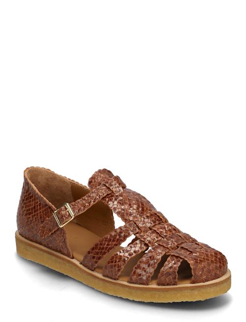 ANGULUS | Sandals - Flat  - Closed Toe | 40.5