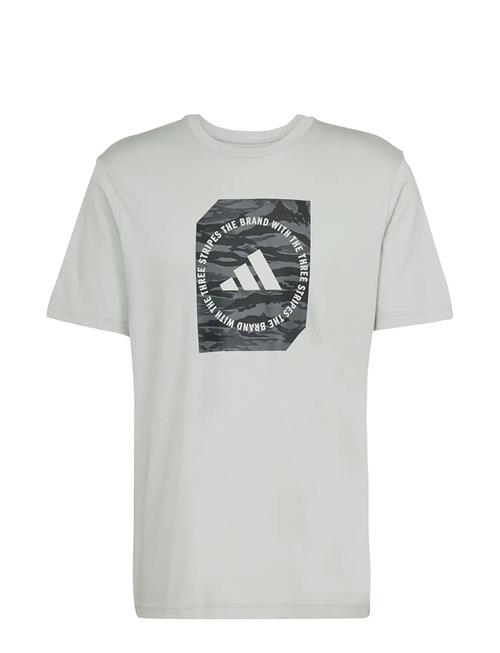 adidas Sportswear | M C Camo Box T | L