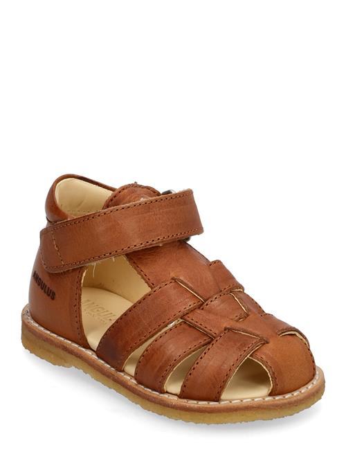 ANGULUS | Sandals - Flat - Closed Toe - | 24