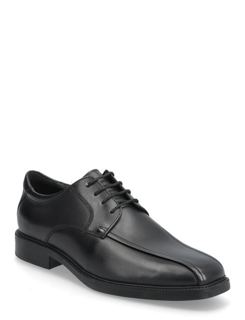GEOX | U Brandolf A | 42