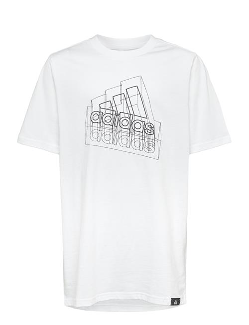 adidas Sportswear | Tech Table | 128