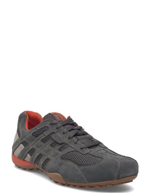 GEOX | U Snake Original A | 46