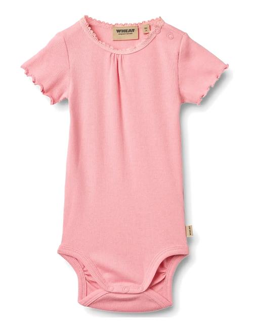 Wheat | Rib Body S/S Edna | 62