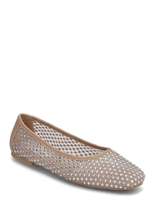 Steve Madden | Auden | 39