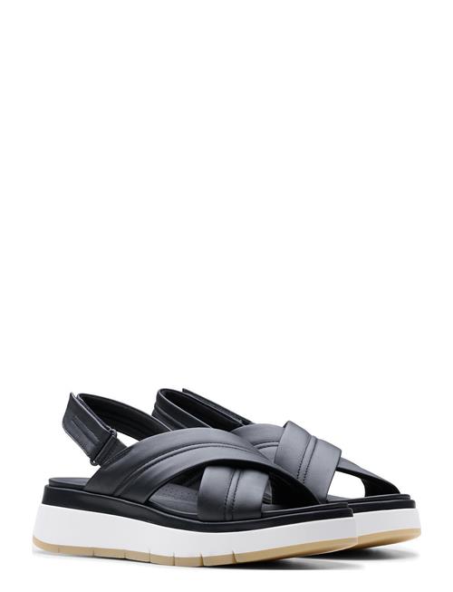 Clarks | Tuscan Cross D | 41