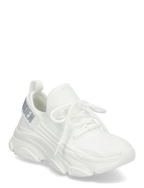 Steve Madden | Jprotégé Sneaker | 31