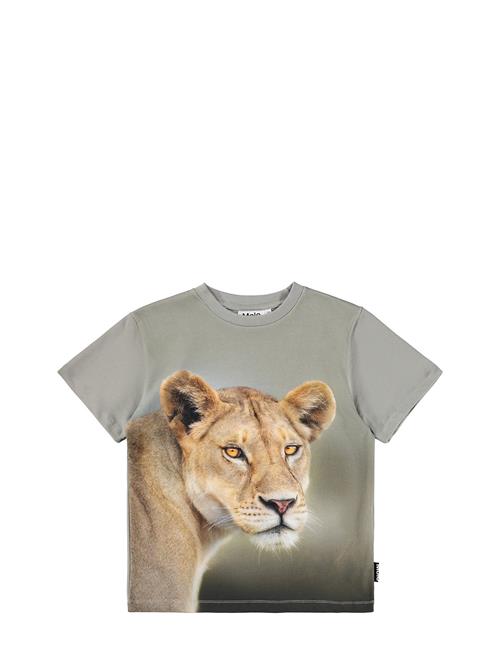 Molo | Riley | 110