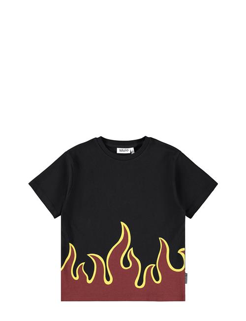Molo | Riley | 152