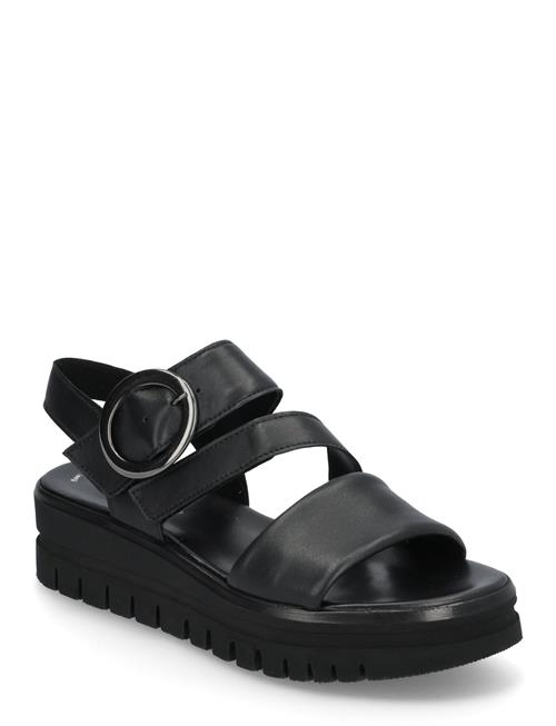 Gabor | Sandal | 41