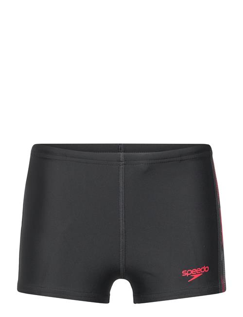 Speedo | Placement Aquashort | 116