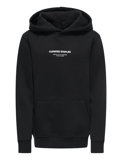 ONLY & SONS | Osjcurated Reg Hoodie Sweat Vd | 170-176