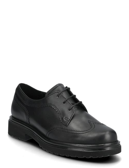 Gabor | Laced Shoe | 38.5