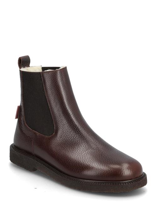 ANGULUS | Booties - Flat - With Elastic | 37