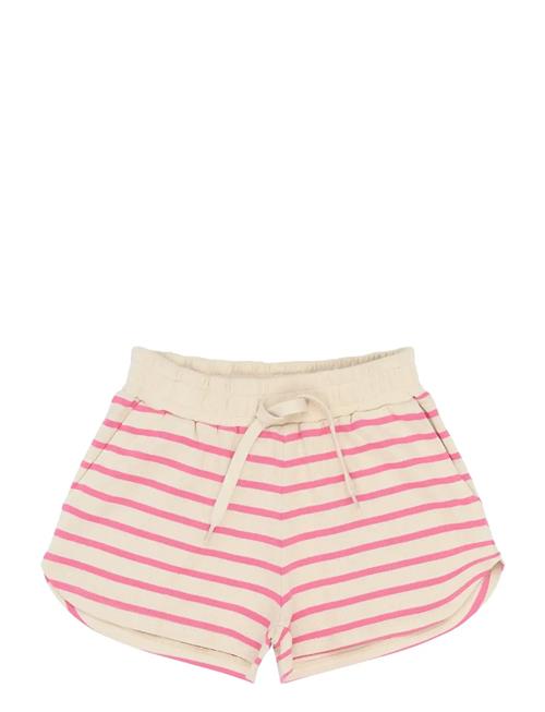 The New | Tnshannon Shorts | 110/116