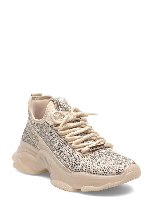 Steve Madden | Mysteria-P | 40