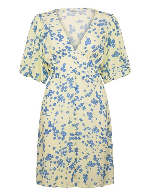 Noella | N-Lilliana Dress | L