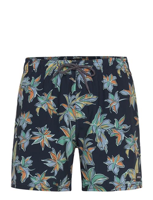 Rip Curl | Sessions Volley | M