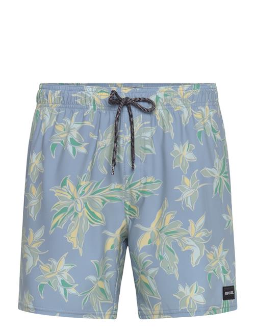 Rip Curl | Sessions Volley | L