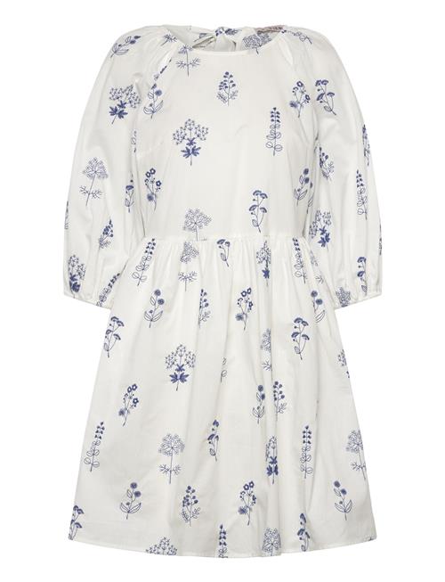 A-View | Agnelia Dress | 44