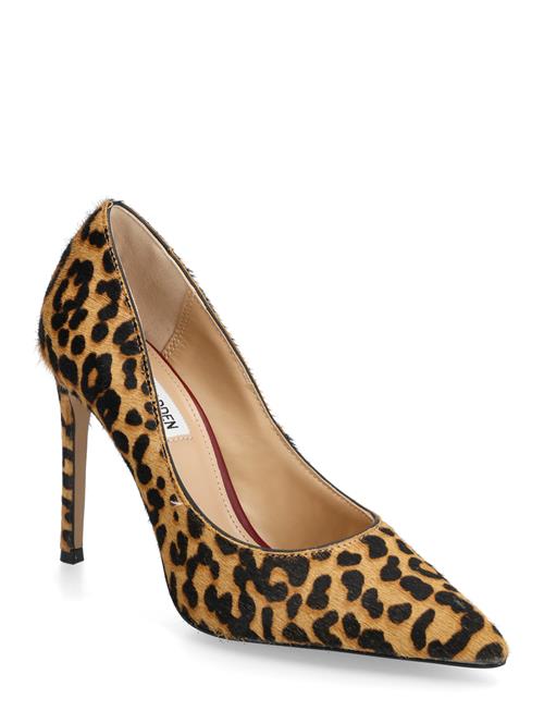 Steve Madden | Thrive-L | 38