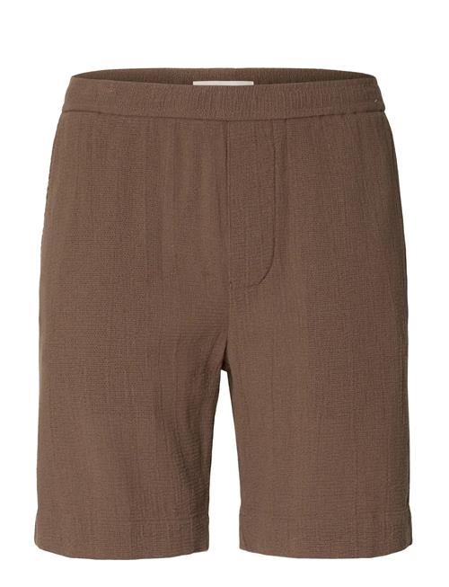 Selected | Slhregcal Shorts | M