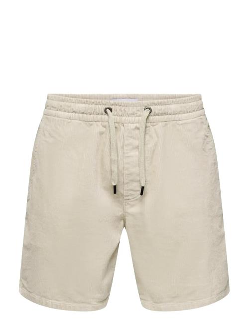 ONLY & SONS | Onstel Corduroy 0185 Shorts Noos | XXL