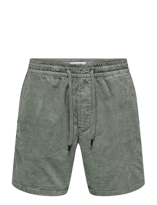 ONLY & SONS | Onstel Corduroy 0185 Shorts Noos | XXL
