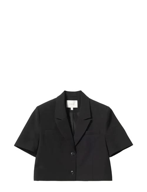 Noella | N-Leanne Crop Blazer | S
