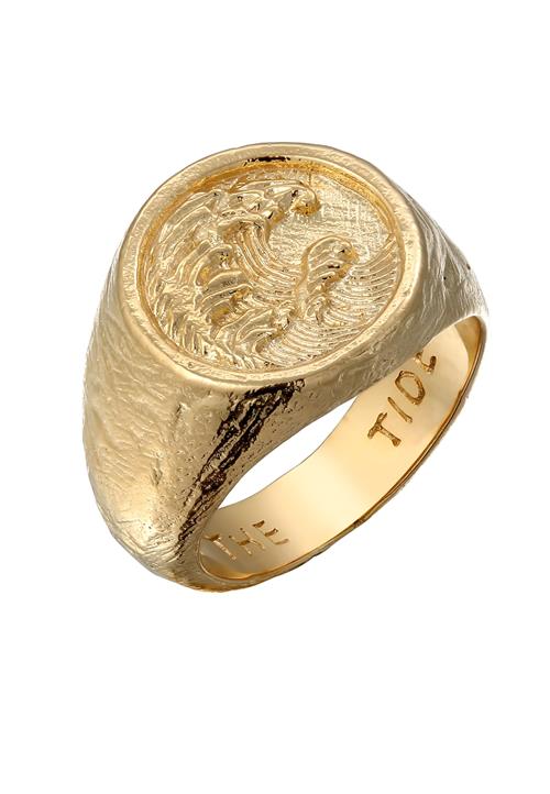Haze&Glory Ring 'Tide'  guld