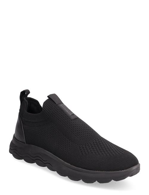 GEOX | U Spherica A | 41