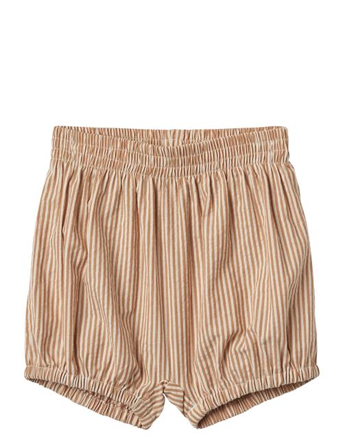 Wheat | Shorts Ollie | 86