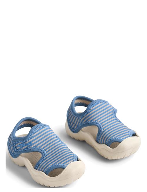 Wheat | Sandal Bani | 25
